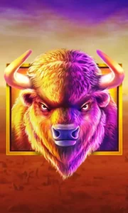 Buffalo King